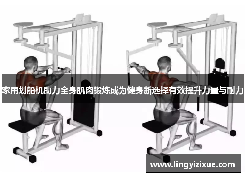 家用划船机助力全身肌肉锻炼成为健身新选择有效提升力量与耐力