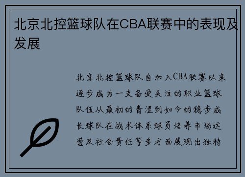 北京北控篮球队在CBA联赛中的表现及发展